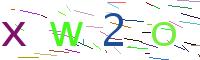 Verify Code